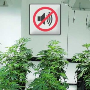 Soundproof your cannabis indoor garden