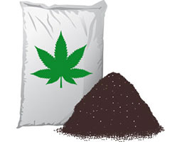Substrat graines de cannabis
