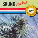 Skunk: Origines de la variete